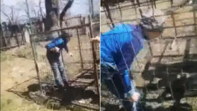 Caz șocant: Un copil este închis într-o cuşcă de către mai mulţi colegi